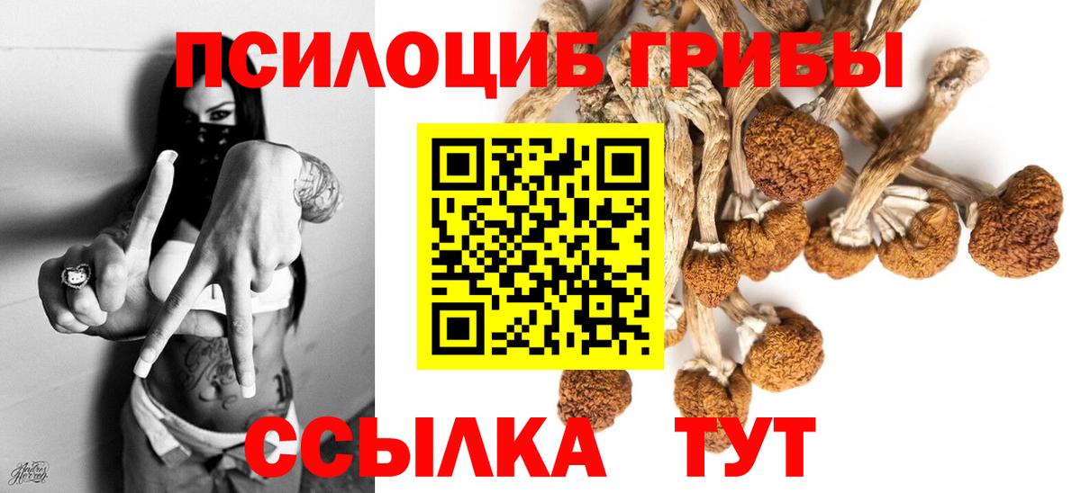 Лабытнанги  даркнет сайт  Вход с VPN  Псилоцибиновые грибы мицелий  Псилоцибиновые грибы Magic Shrooms 