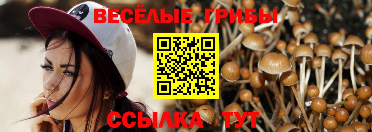 Галлюциногенные грибы мухоморы Лабытнанги